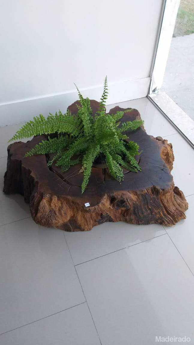 Mesa de Centro Tora Damiana - 100x90 - Image 3