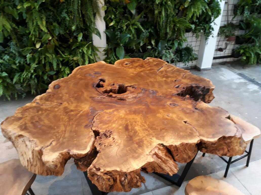 Mesa de Jantar Oapixana - 200cm de Diametro - 8 a 10 lugares - Image 4